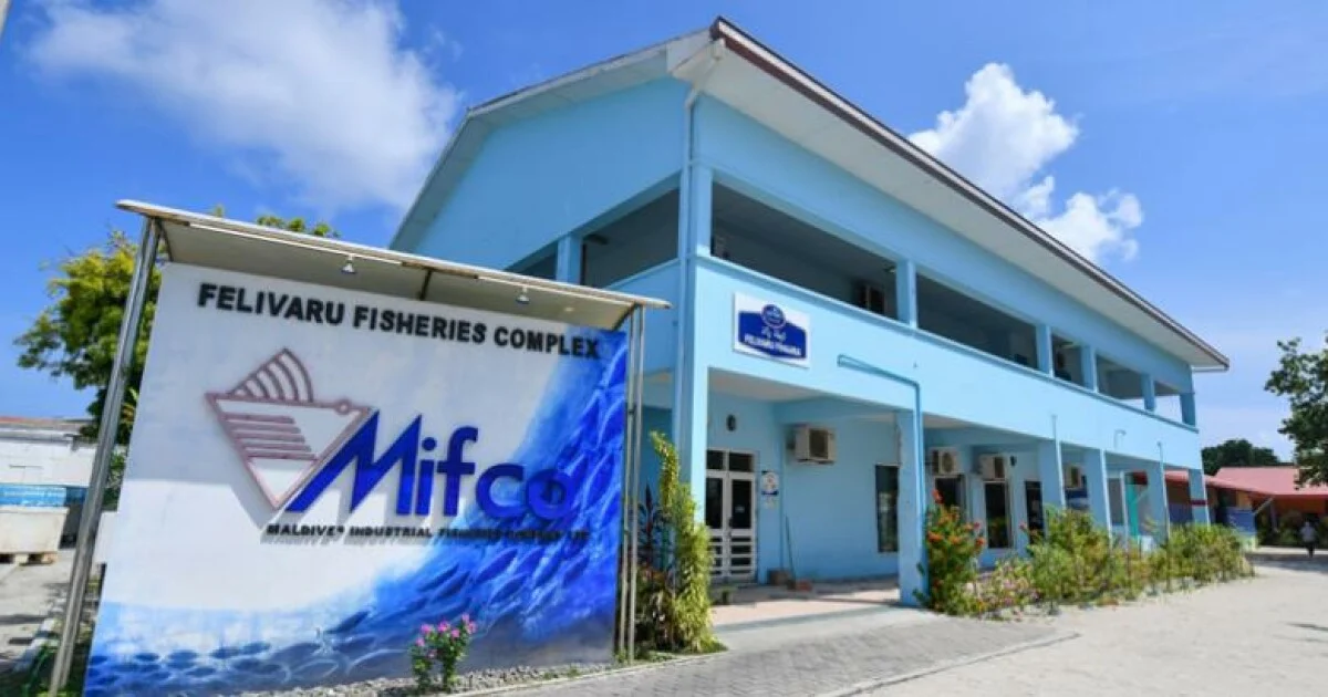 މަސްވެރިންނަށް ފައިސާ ދޫކުރުމުގެ މަސައްކަތް ކުރިއަށް އެބަދޭ: މިފްކޯ