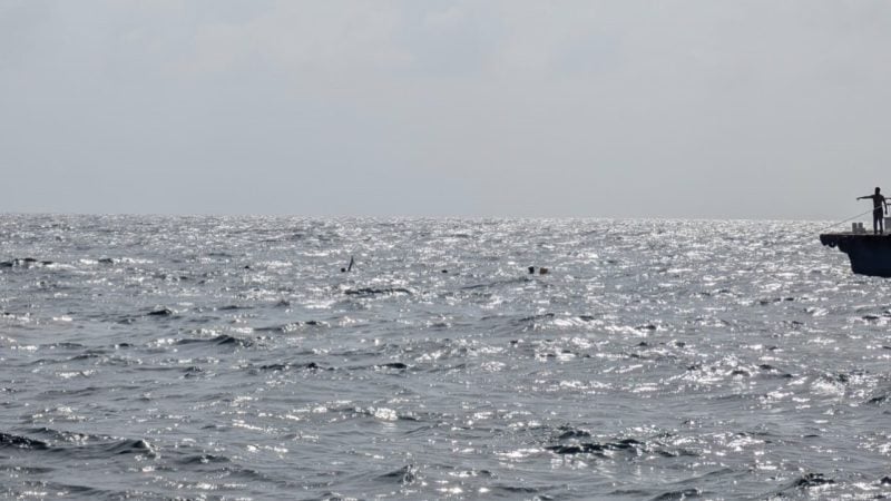 ކުމުންދޫ ކައިރިން ދޯންޏެއް ބަންޑުން ޖަހާލި ޙާދިސާގައި ޙާލުދެރަވި ދިވެއްސަކު ނިޔާވެއްޖެ