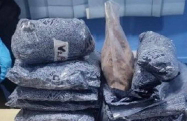 މަސްތުވާތަކެތީގެ ވިޔަފާރިކުރި ކަމަށް ތުުހުމަތުކުރެވޭ މީހަކު ޝަރީއަތް ނިމެންދެން ބަންދުކޮށްފި