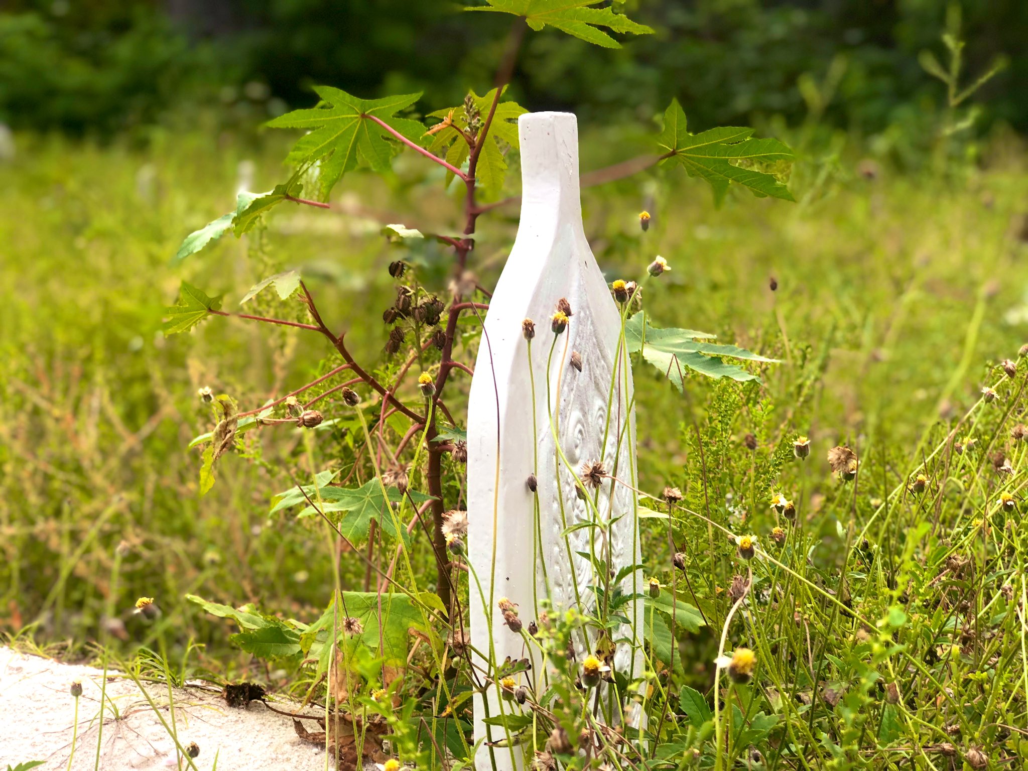 މާހސނައެއް: މިދުނިޔޭގައި އިންސާއަށް ލިިބިފައިވާ ކޮންމެ އެއްޗަކީ ވަގުތީގޮތުން ލިބިފައިވާ އެއްޗެތިތަކެވެ. ފޮޓޯ: ޓްވިޓަރ