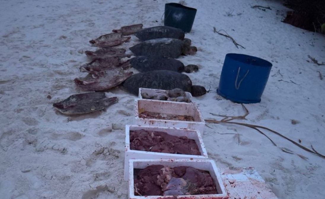 ވެލާތައް ފެޅި މީހުން ދޫކޮށްލީ ބަޔާން ނަގާފައި، އިތުރު ފިޔަވަޅު އަޅާނެ