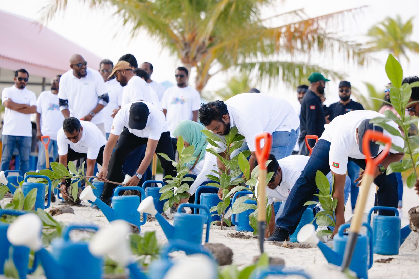 ކުޑަގިރި ޕިކްނިކް އައިލެންޑަށް 2 އަހަރު ފުރުން ފާހަގަކޮށްފި