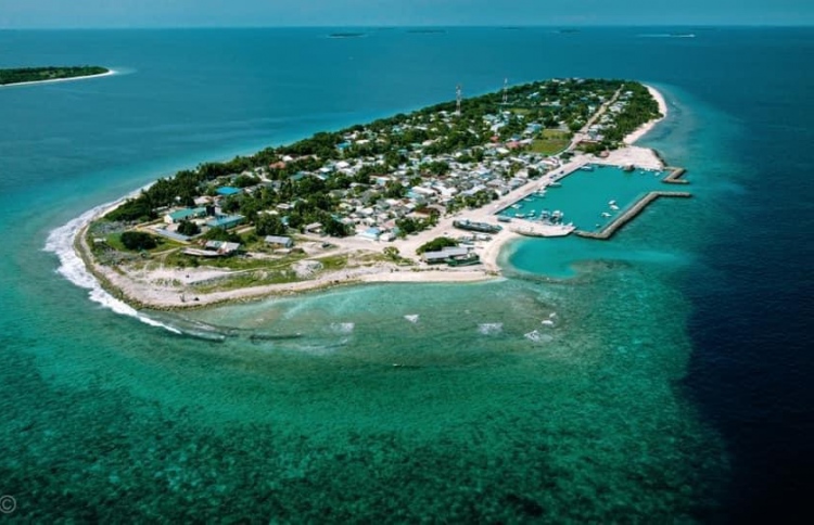 ސަފާރީއެއްގެ ބުރަފަތީގައި ޖެހި، މީހަކު މަރުވެއްޖެ