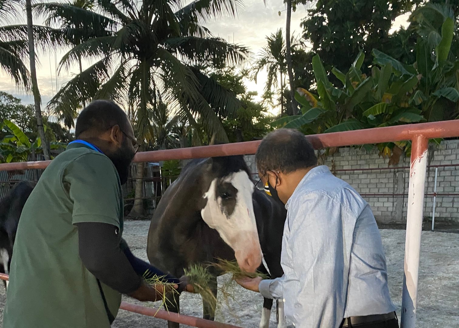މިނިސްޓަރ މައުސޫމް އައްޑޫގެ އަސްތައް ބައްލަވާލަން ވަޑައިގެންފި