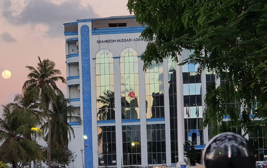 މާލޭގައި ހަށިވިއްކަމުންދިޔަ ނެޓްވޯކެއްގެ 13 މީހުން ހައްޔަރުކޮށްފި