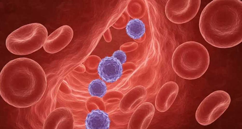 މުޅިން އާ ލޭގެ ގްރޫޕެއް އިންޑިއާ އަންހެނެއްގެ ކިބައިން ފެނިއްޖެ