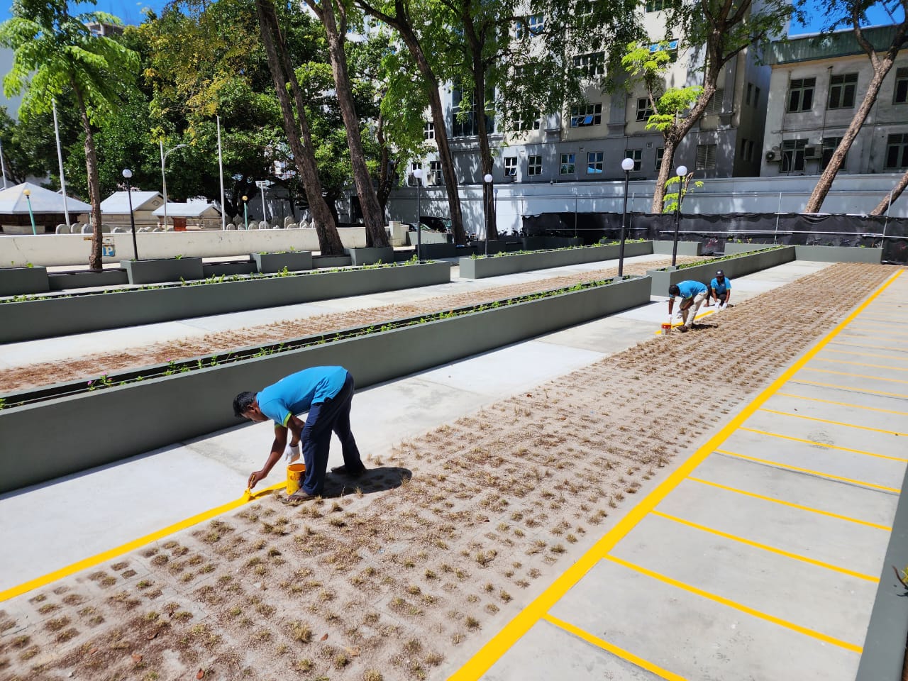 ހުރަވީ ބިލްޑިންގ ހުރި ބިމުގައި ބޮޑު ޕާކިން ޒޯނެއް ހަދައިފި