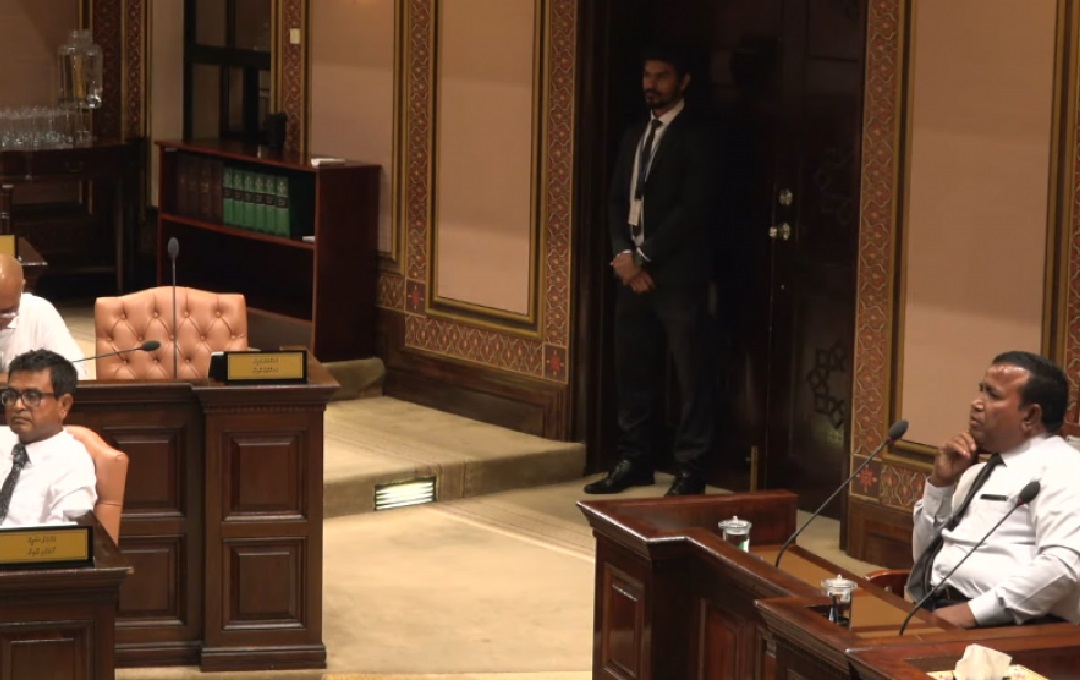 މަޖިލީހަށް ޕެޕާސްޕްރޭ އާއި ދަގަނޑުމުގުރު ނުގެނެވޭނެ ކަމަށް ވިދާޅުވުމަށްފަހު ޖަލްސާ ނިންމާލައިފި