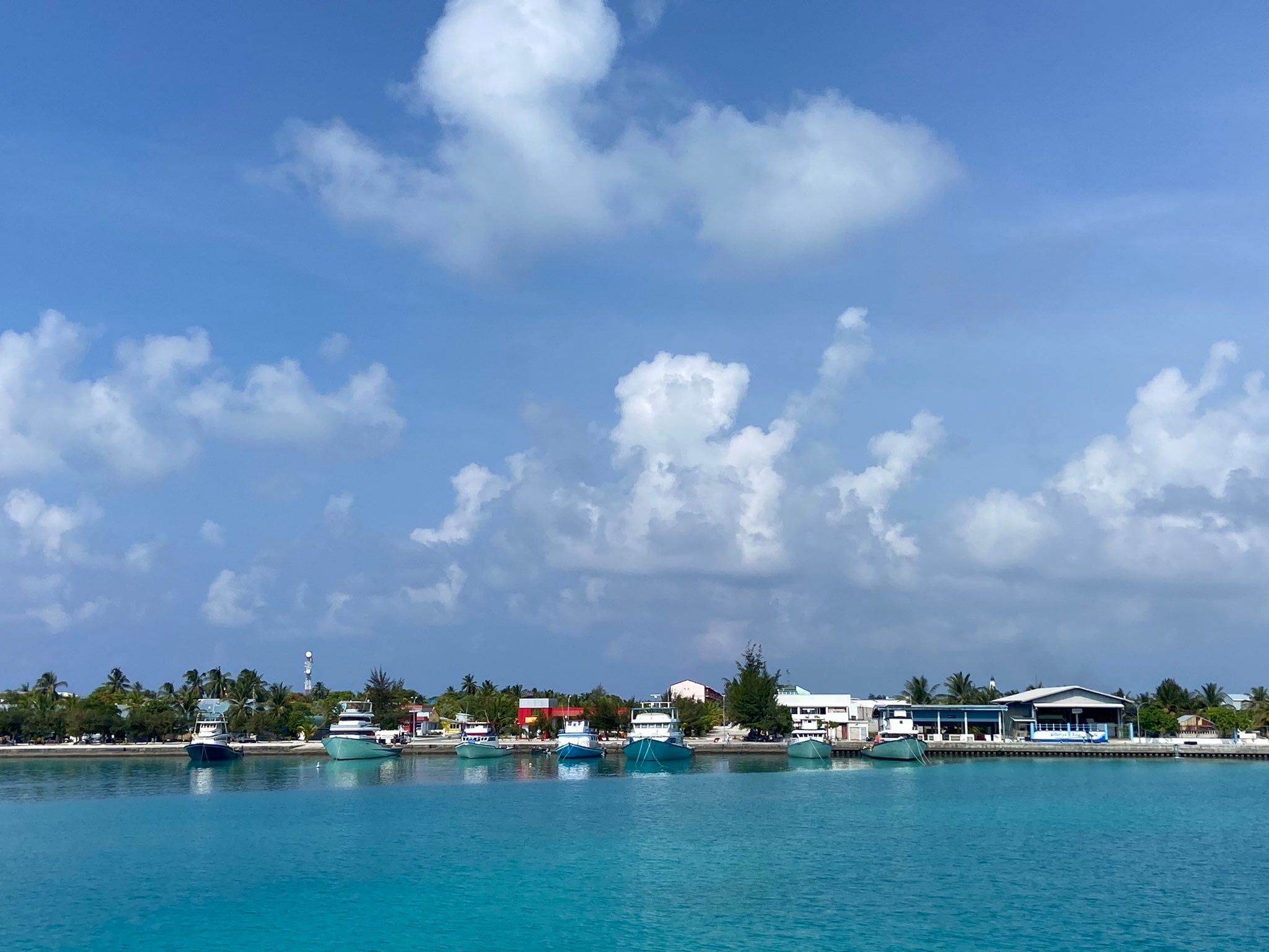 ގެވެށި އަނިޔާގެ މައްސަލައެއްގައި ޢުމުރުން ދުވަސްވީ މީހަކު ހައްޔަރުކޮށްފި