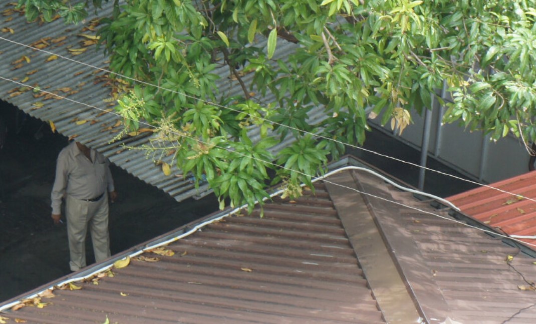 ވަގަށް އަނބު ބިންނަ މީހާގެ މަސްތުވާތަކެތީގެ ރެކޯޑްތަކެއް، ބެލެވެނީ އަނބުތައް ވިއްކައިގެން ފައިސާ ހޯދަނީ ކަމަށް