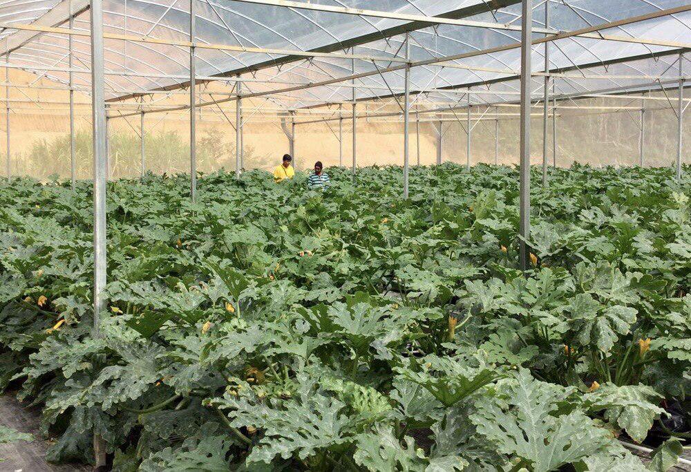 ދަނޑުވެރިން އެގްރޯނެޓްގައި ރަޖިސްޓްރީ ވުމަށް ހުޅުވާލައިފި