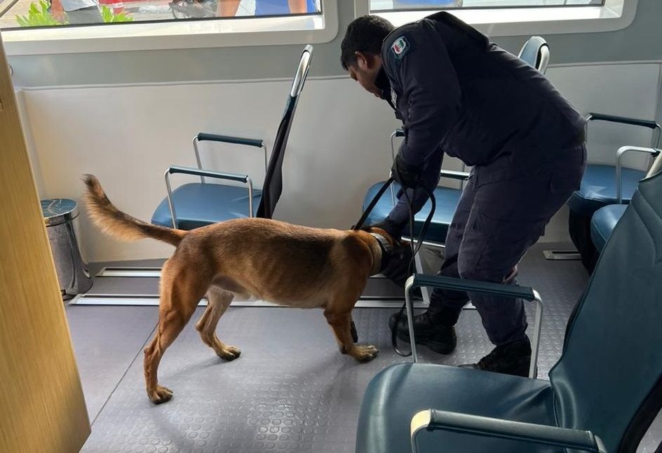 ޑޯގް ސްކޮޑަށް އެންމެފަހުން ގެނައި 10 ކުއްތާ އޮޕަރޭޝަންތަކުގައި ބޭނުންކުރަންފަށައިފި