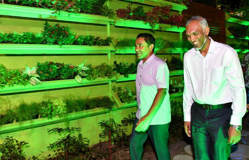 ރައީސް ޔާމީންގެ ފަރާތްޕުޅުން ޑރ. މުޢިއްޒު! ކޮން މެސެޖެއް؟