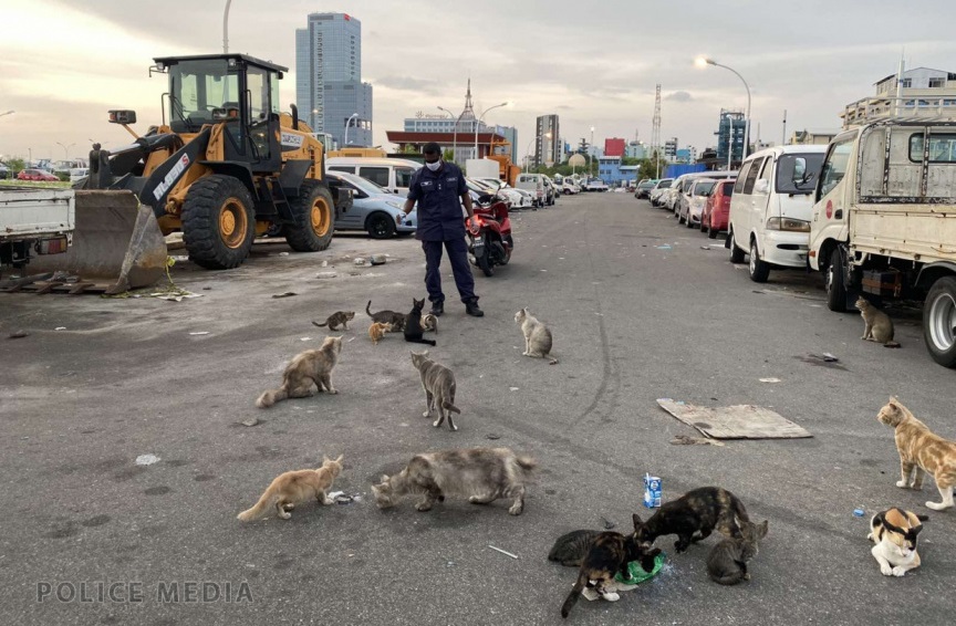 ވަޅިން ހަމަލާދީ ބުޅަލެއް މަރާލި މީހާގެ ބަންދަށް އިތުރު 10 ދުވަސް