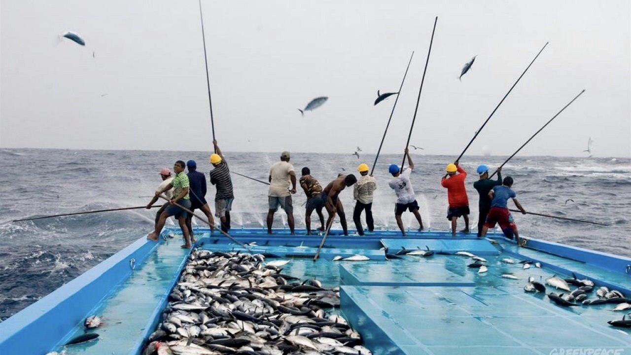 ލޮކްޑައުންގެ ހާލަތުގައިވެސް މަހަށް ފުރޭނެ- މިނިސްޓްރީ