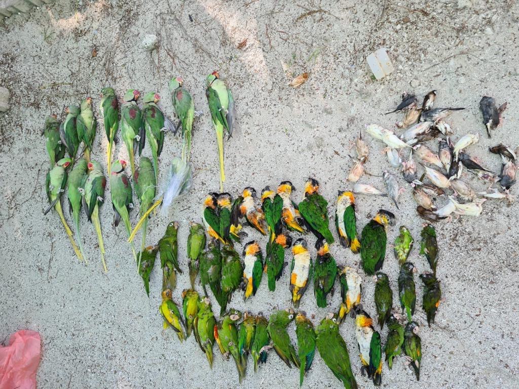 ދޫނިތައް މަރާލީ ކޯޓަށް މައްސަލަ ހުށައެޅިކަން މިނިސްޓްރީއަށް އެންގިފަހުން