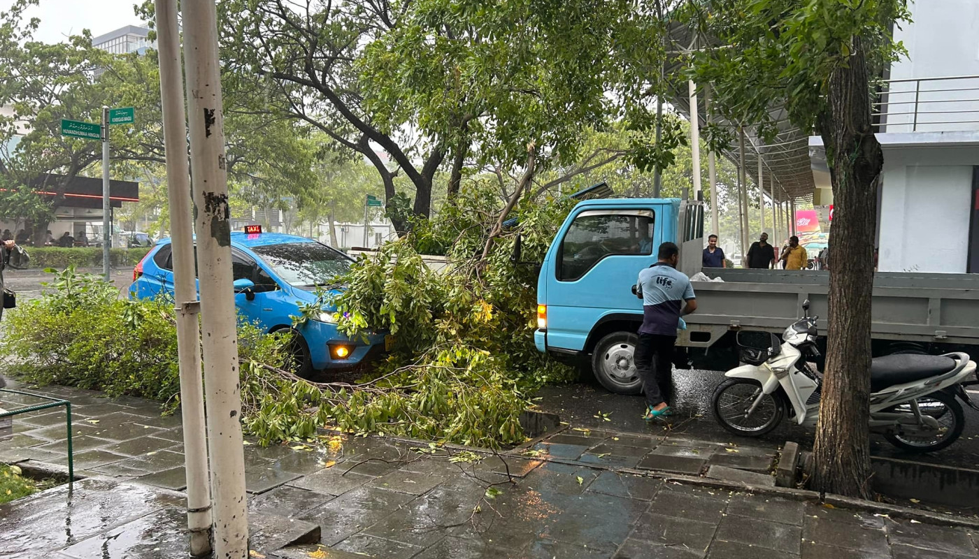 ގަދަ ވަޔާއެކު ގަސްތައް ވެއްޓި އޮފިތައް ބިންދައިގެން ދަނީ