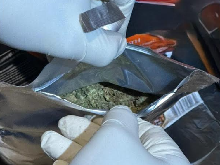 ވައިގެ މަގުން އެތެރެކުރަން އުޅުނު 5.9 ކިލޯގެ މަސްތުވާތަކެތި އަތުލައިގެންފި