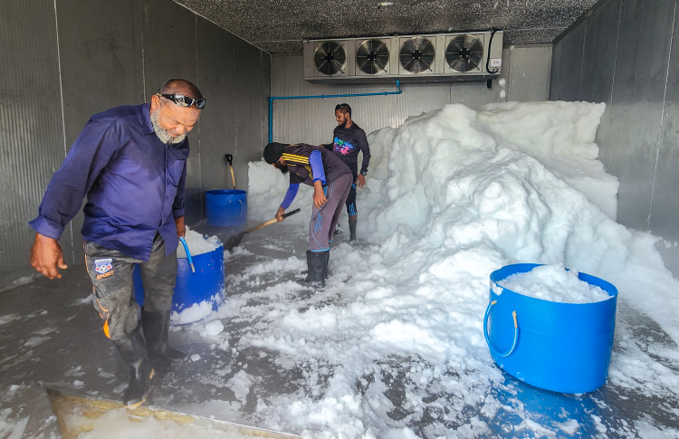 ގައްދޫ އައިސް ޕްލާންޓުގެ މައްސަލަ ހައްލު ކޮށް އައިސް ދޫކުރަން ފަށައިދި