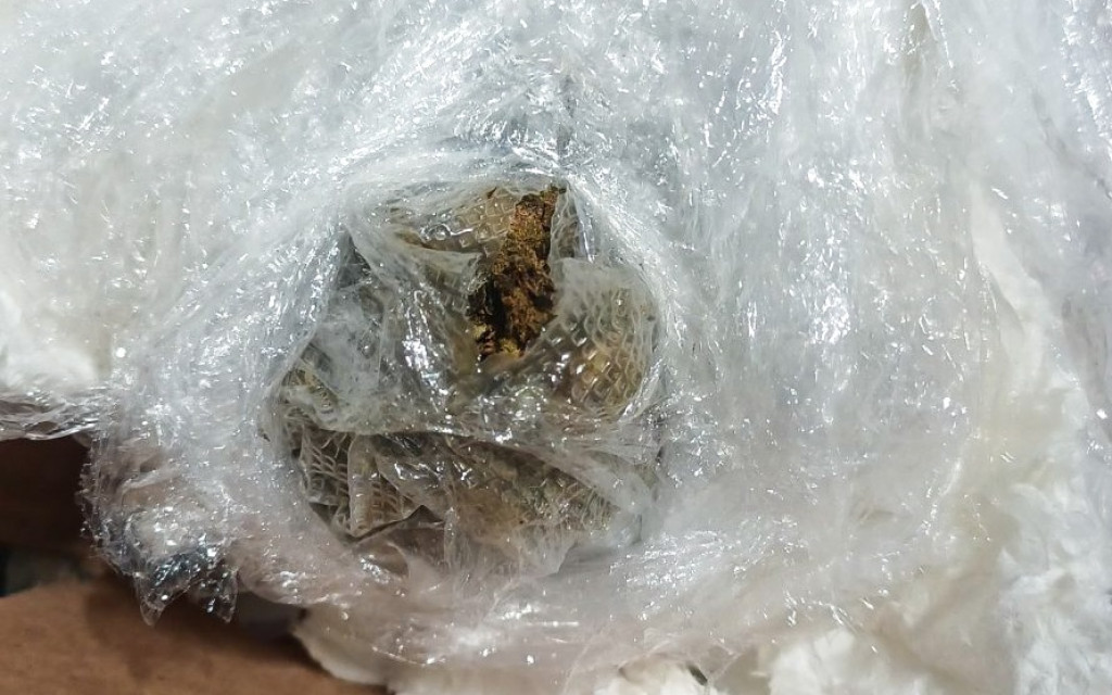 ކުރިއަރ މެދުވެރިކޮށް އެތެރެކުރަން އުޅުނު 490 ގްރާމުގެ މަސްތުވާތަކެތި އަތުލައިގެންފި