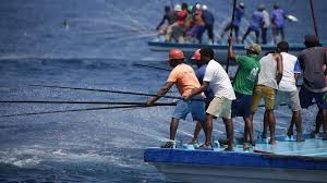 ދިވެހި މަސްވެރިންގެ ފަރާތުން ފަލަސްތީނަށް މިއަދުވެސް 170000 ރުފިޔާ