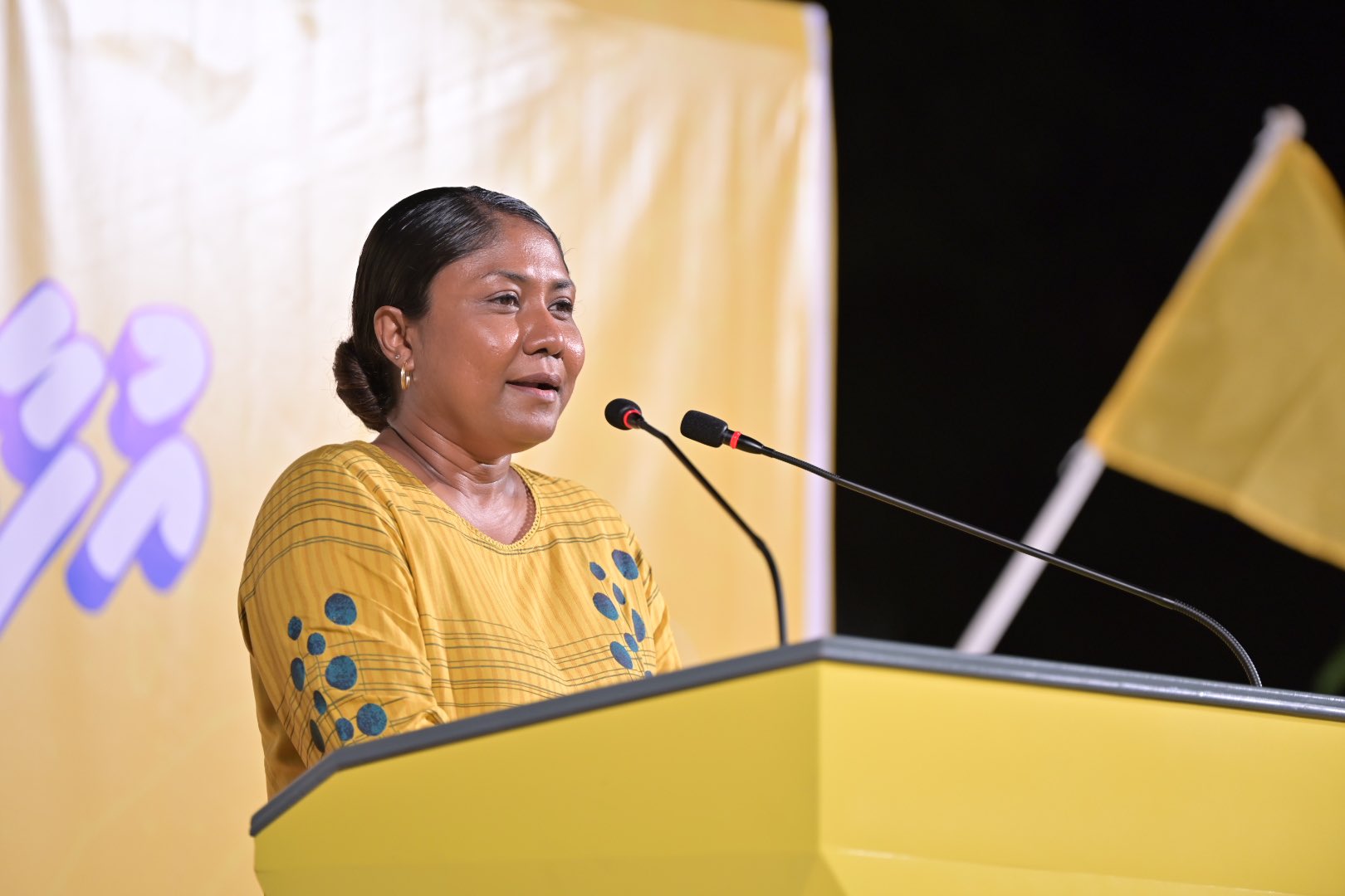 ޔާމިންގެ ސަރުކާރުގެ އަނިޔާވެރިކަމާއި ހަމަނުޖެހުމަކީ އަލުން ދީލާލާނެ މާޒީއެއް ނޫން: ހިސާން