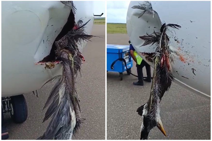 މަންޓާ އެއާގެ ފްލައިޓެއްގައި މާކަނާއެއް ޖެހި ބޮޑެތި ގެއްލުންތަކެއް