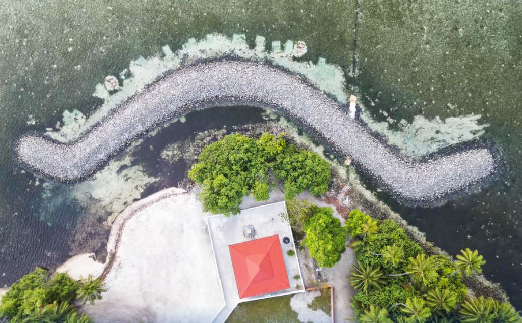 ކޮޅުފުށީގައި ޢުމުރުން 2 އަހަރު ނުވާ ކުއްޖަކު ގެނބިގެން މަރުވެއްޖެ