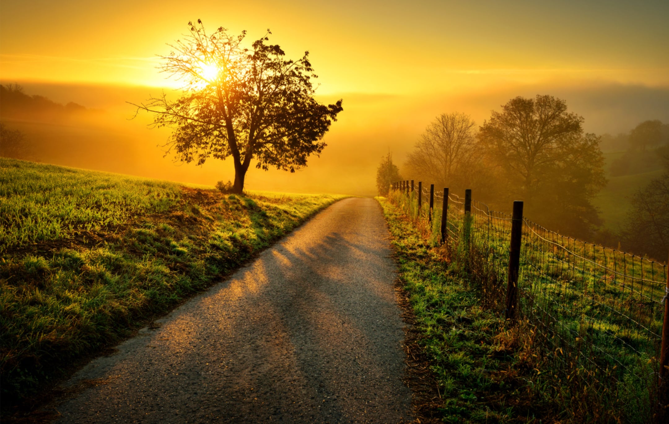 އިސްލާމީ ނަޒަރަކުން ވެރިން