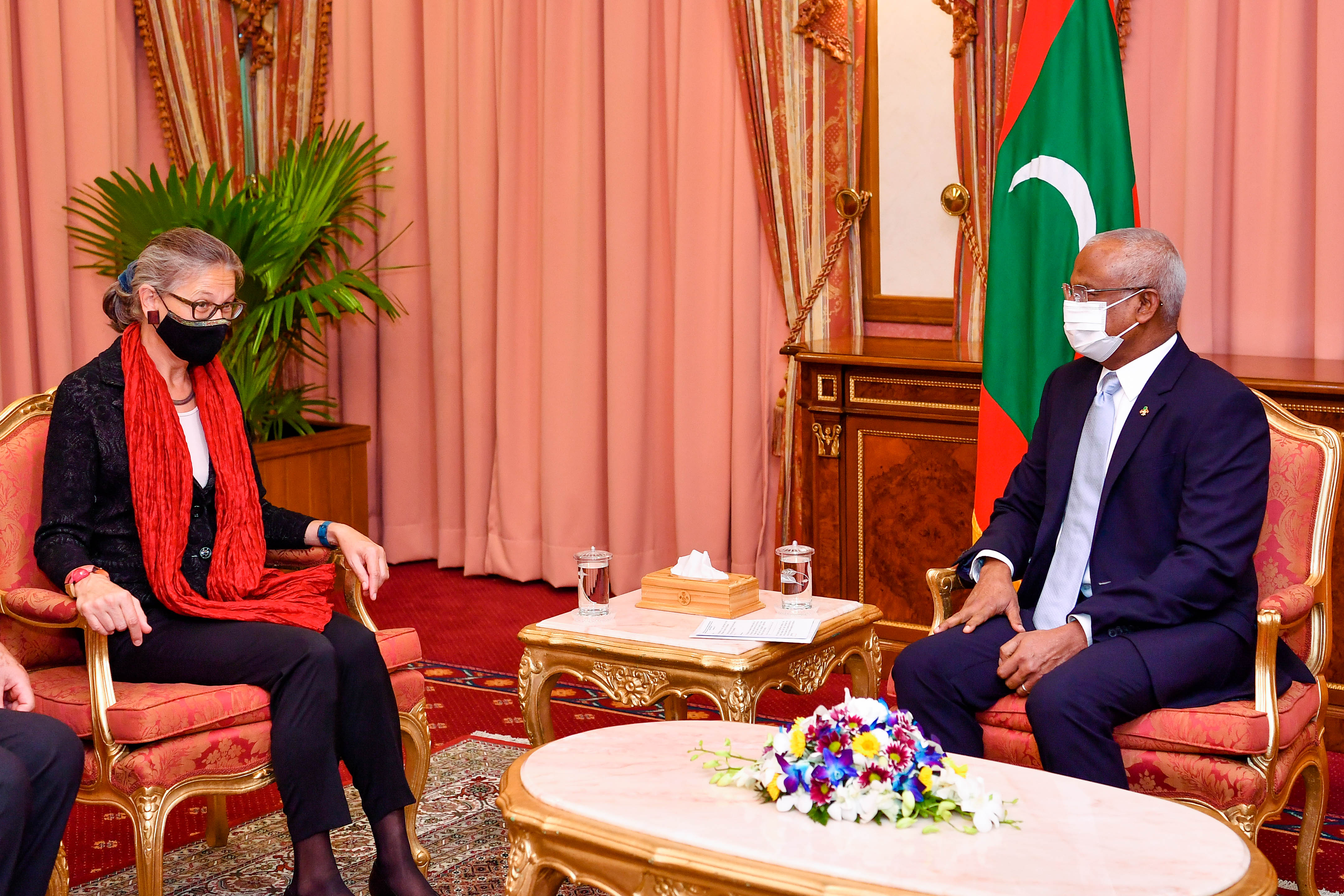 އީޔޫގެ ޤައުމުތަކަށް ވިސާއާ ނުލައި ދަތުރުކުރެވޭނެ ގޮތް ހަދަން ބޭނުން: ރައީސް