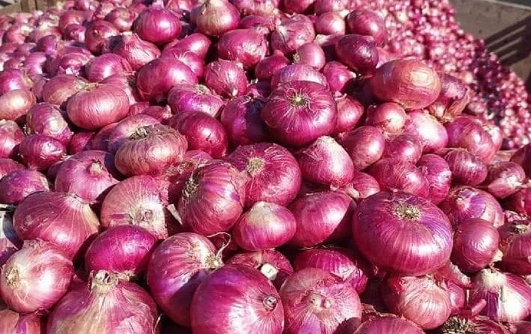 މާލޭގެ ގޭބިސީތަކަށް ކާޑުގެ ބާވަތްތައް ދޫކުރާ ގަޑިތައް އާއްމުކޮށްފި