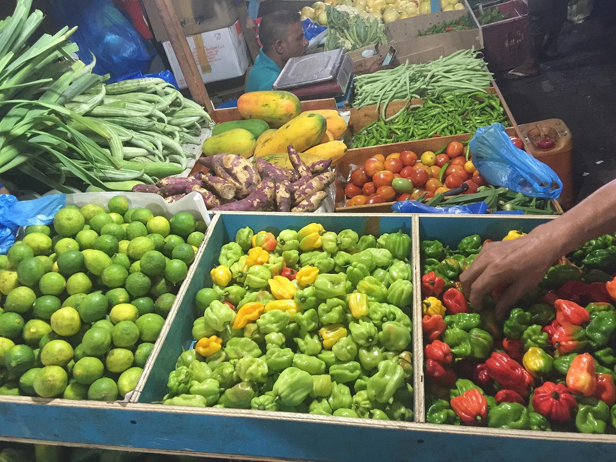 ކާބޯތަކެތީގެ ރައްކާތެރިކަމުގެ ބިލު ރައީސް މުޢިއްޒު ތަސްދީޤު ކުރައްވައިފި