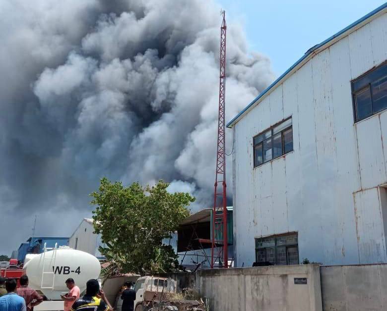 ތިލަފުށީގައި އަލިފާނުގެ ހާދިސާއެއް ހިނގައިފި