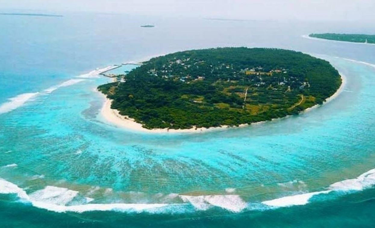 ވައިކަރަދޫގެ ބައި-އިލެކްޝަންތައް އެމްޑީޕީއާއި އަދާލަތަށް