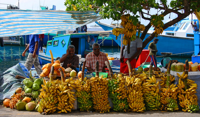އާމްދަނީއަށް އަސަރުކޮށްގެން ދޭ އިނާޔަތް 10 ހާހަށްވުރެ ގިނަ މީހުންނަށް ދީފި