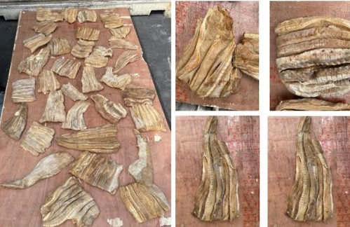 ކަސްޓަމުން އަތުލައިގަތް މިިޔަރާއި މަޑި މަސް--