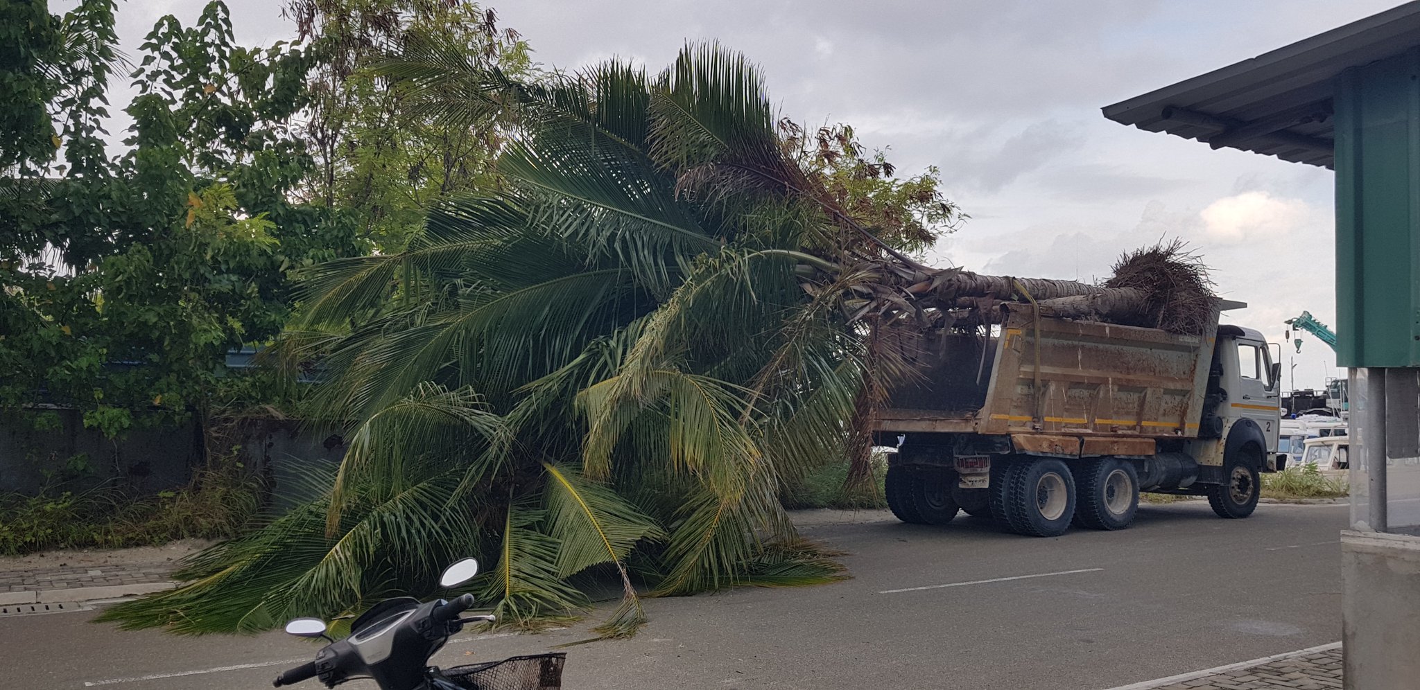 ކުޑަހުވަދޫން ނެގި ރުއްތައް ރަށުން ބޭރުކޮށްފި