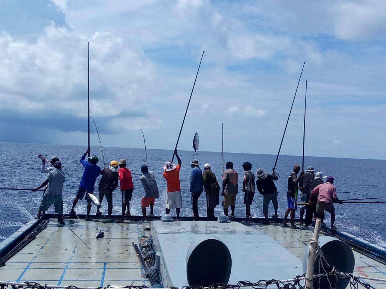 މިފްކޯއިން މަސްގަންނަ އަގު ކިލޯއަކުން ދެ ރުފިޔާ ދަށްކޮށްފި