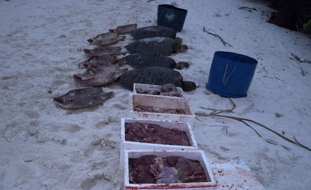 ކެޔޮދޫގައި ވެލާފެޅި މީހުން ޖޫރިމަނާ ފައިސާ ނުދައްކާ