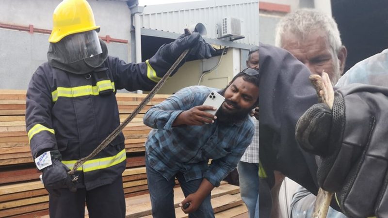 ކުޅުދުއްފުށިން 2 ފޫޓުގެ ހަރުފައެއް ފެނިއްޖެ