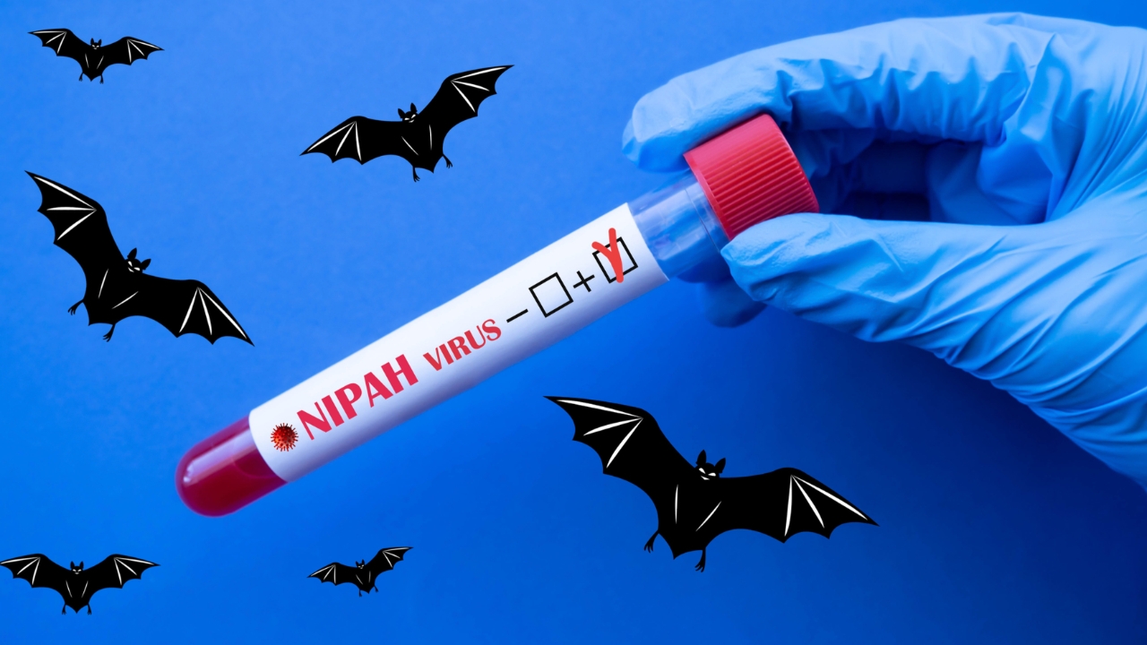 ނިޕާ ވައިރަސް: ރާއްޖެއަށް ނުރައްކާ ކުޑަ، ނަމަވެސް ވެސްޓް ބެންގާލަށް ދަތުރުކުރާނަމަ ސަމާލުވޭ: އެޗްޕީއޭއިން