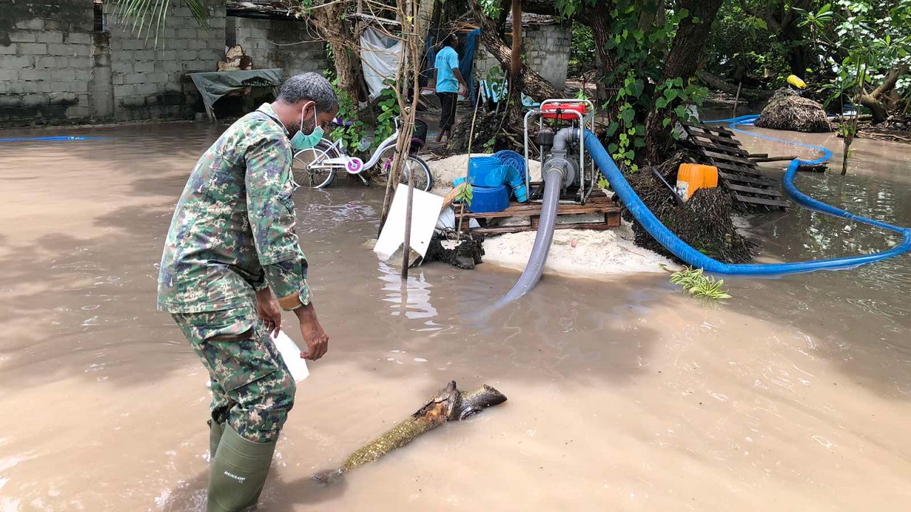 ކުރެންދޫގައި ފެންބޮޑުވެ 20 ގެއަކަށް ފެން ވަދެއްޖެ
