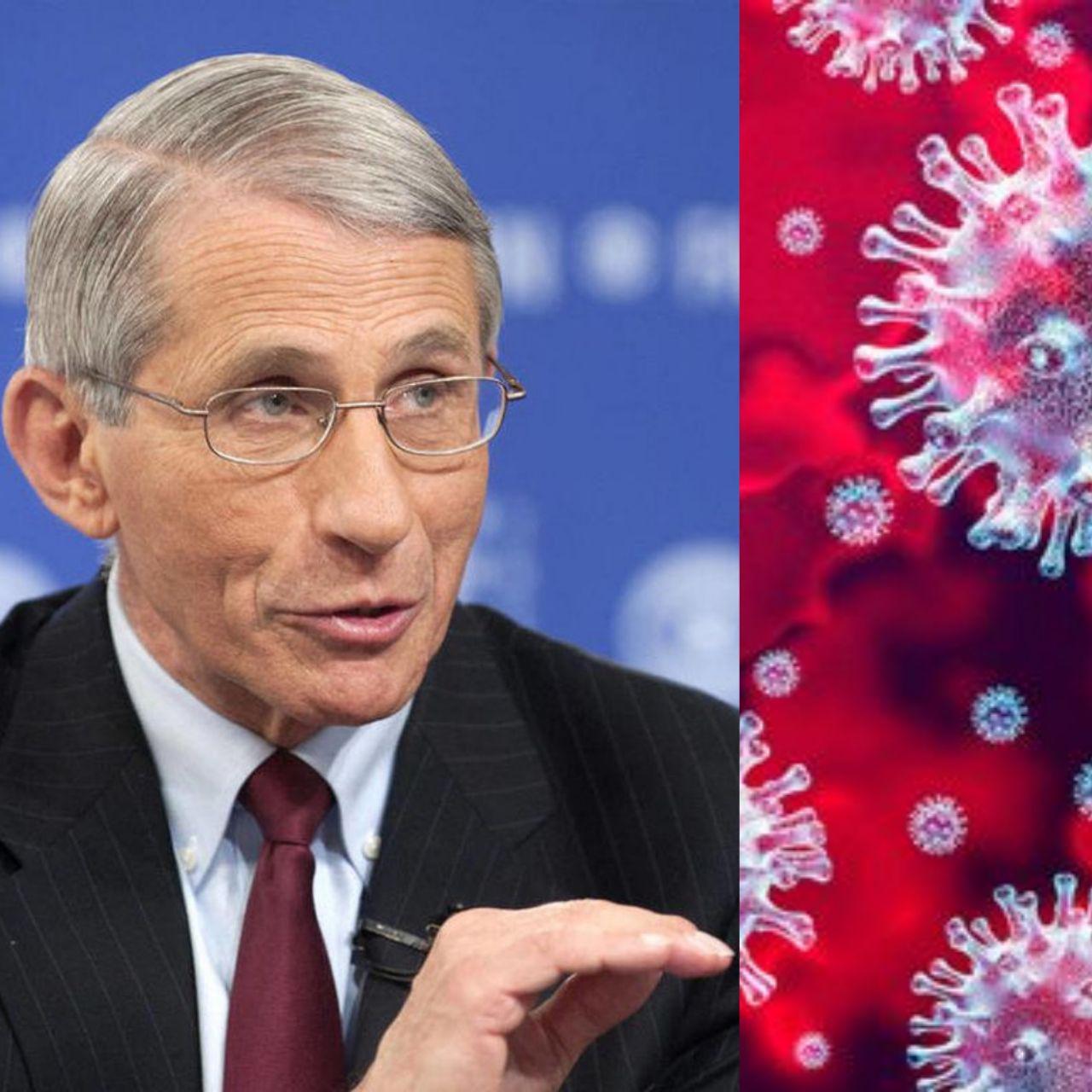 ކޯވިޑް-19: ވައިރަހުގެ އިތުރު ރާޅެއް އަދި އަންނާނެ، އެއީ ހުއްޓުވޭނެ ކަމެއްނޫން - ޑރ. ފައުޗީ