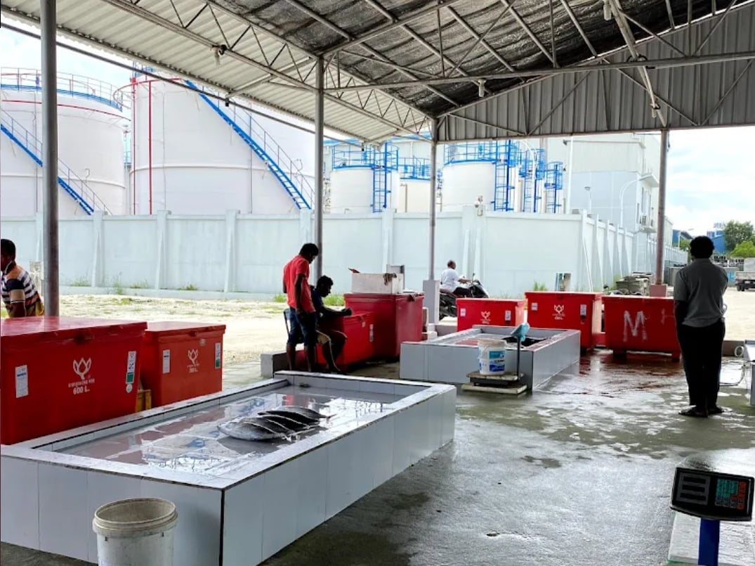 ހުޅުމާލެ މަސް މާރުކޭޓް ހިންގާނެ ބަޔަކު ހޯދަނީ