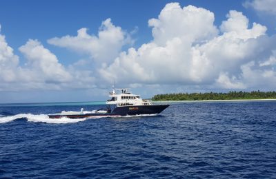 އަސުރުމާ ދޯންޏަށް ބޭރުގެ ސިފައިން އެރި މައްސަލަ ބެލުމަށް އެމްޑީޕީން ވެސް ގޮވާލައިފި