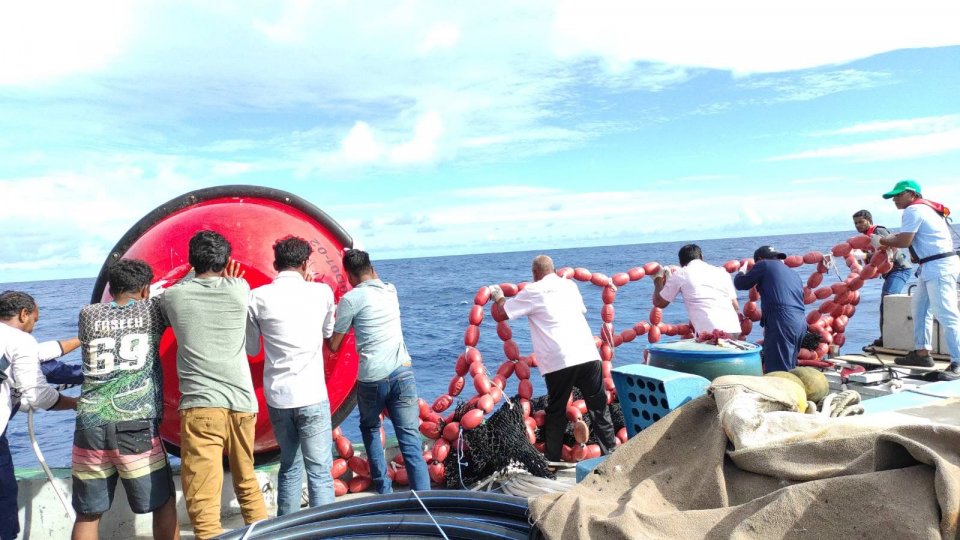 ކަނޑައިގެން ގޮސްފައިވާ އޮއިވާލި ކަނދުފަތިތައް ގާއިމްކުރުމުގެ މަސައްކަތް ފަށައިފި