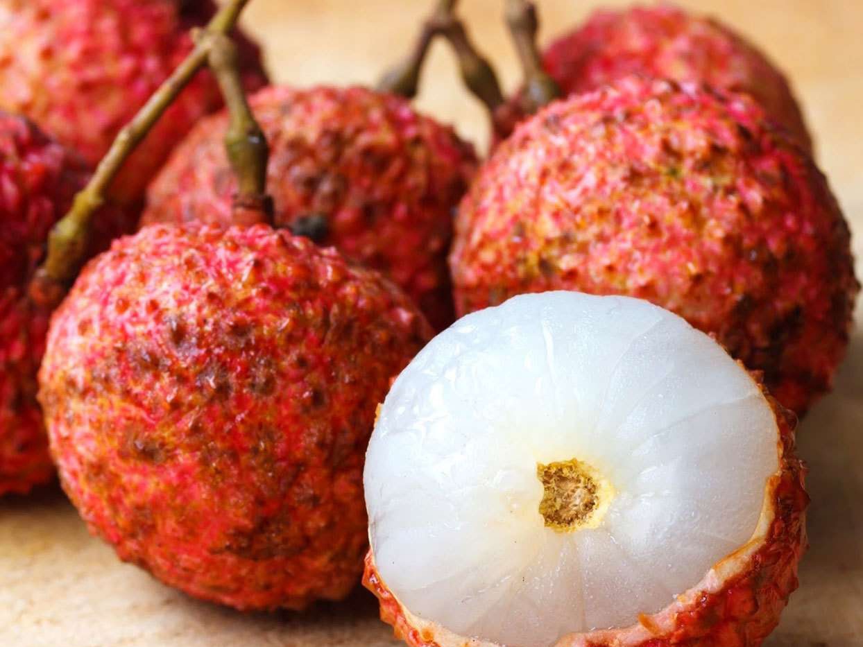 ލައިޗީ - ލޯއަލިކޮށްދީ ހިތުގެ ބަލިމީހުންނަށް އެހީވެދޭ