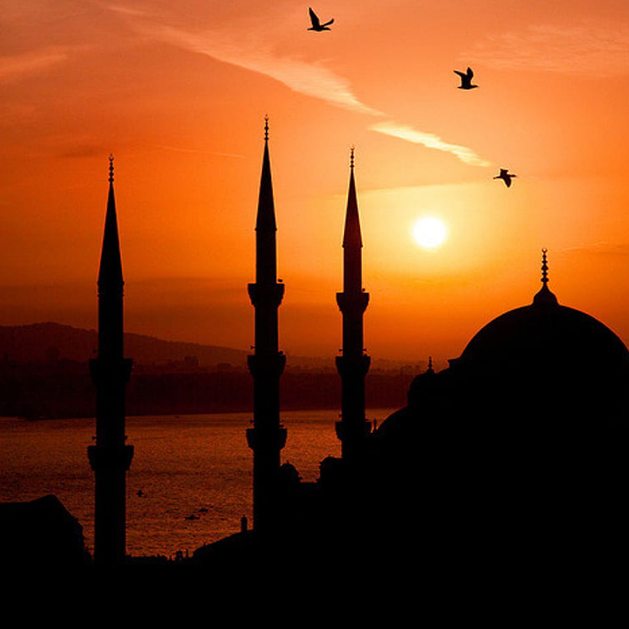 ދުނިޔެ ބަދަލުކޮށްލެއްވި ނަބިއްޔާ - 13