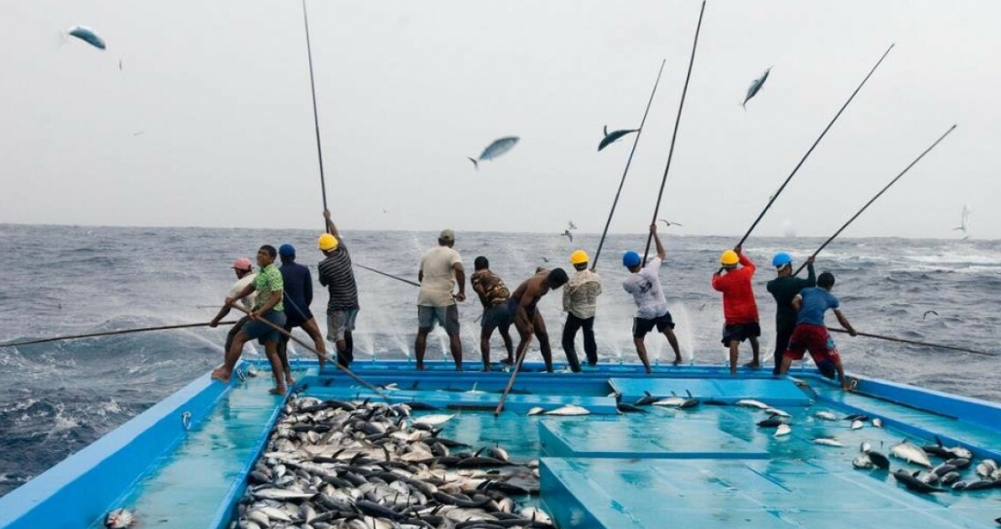 މަސްވެރިކަމަށް ޒުވާނުން ޝައުގުވެރިކުރުވުމަށް ހިންގާ ޕްރޮގްރާމުގައި ބައިވެރިވުމަށް ހުޅުވާލައިފި