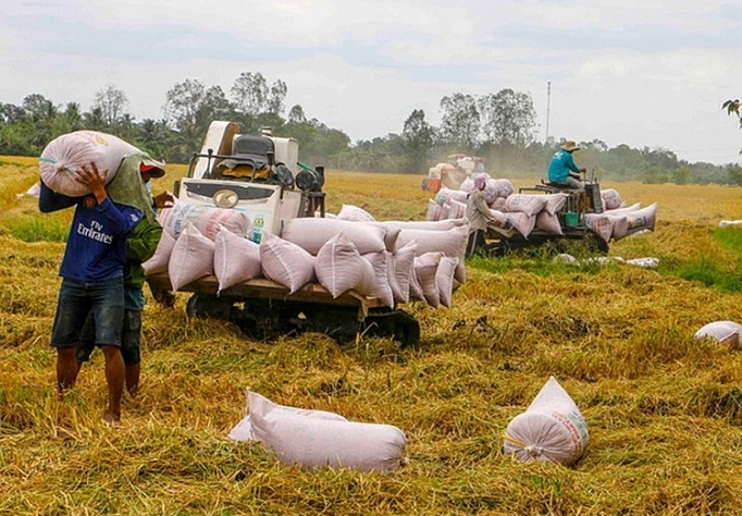 10 އަހަރަށްފަހު ވިއެޓްނާމުން އިންޑިޔާގެ ހަނޑޫ ގަންނަން ފަށައިފި